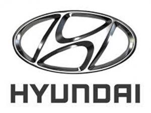 Hyundai Coupe V FX