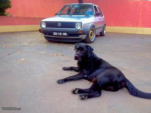 VW Golf mk2 Julho/88 - à venda - Ligeiros Passageiros,