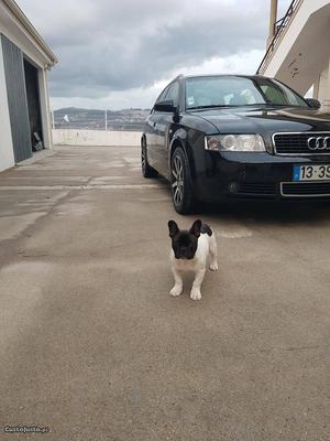 Audi A4 Avant  tdi Junho/02 - à venda - Ligeiros