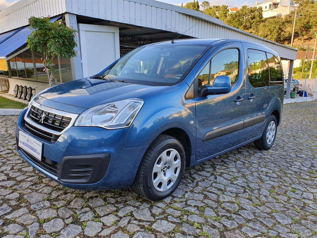  Peugeot Partner Tepee 1.6 BlueHDi Active ETG6