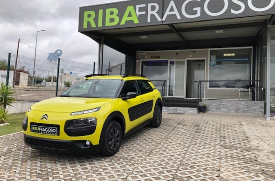 Citroën C4 Cactus 1.6 HDI BUSINESS 100 CV - Ribafragoso,