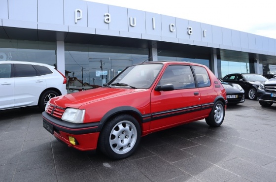 Peugeot 205 Gti 1.9 - PAULCAR