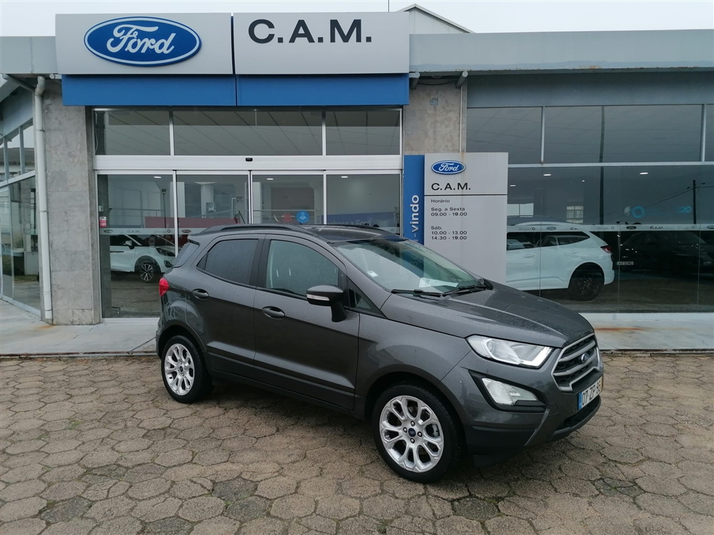  Ford Ecosport 1.0 EcoBoost Business Edition (100cv)