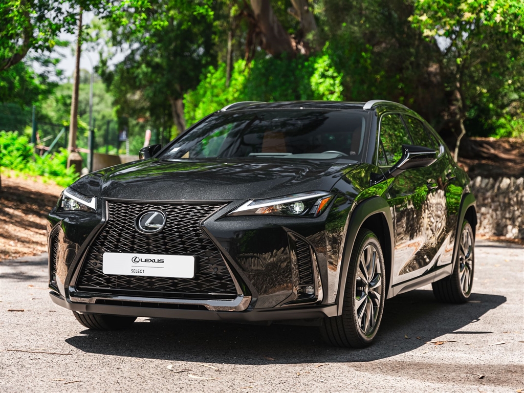  Lexus UX UX 250h Sport